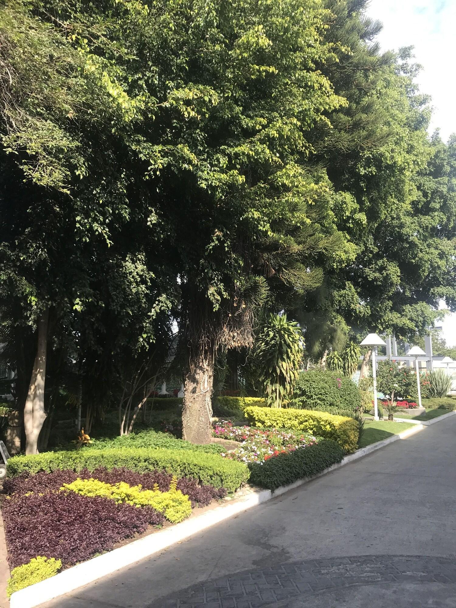 Hotel Ronda Minerva Guadalajara Kültér fotó